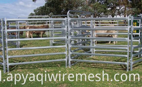 Przenośny panel ogrodzenia/panel Corral/panelu alpaca (Fabryka) gorąca sprzedaż przenośny panel ogrodzenia/alpaki)